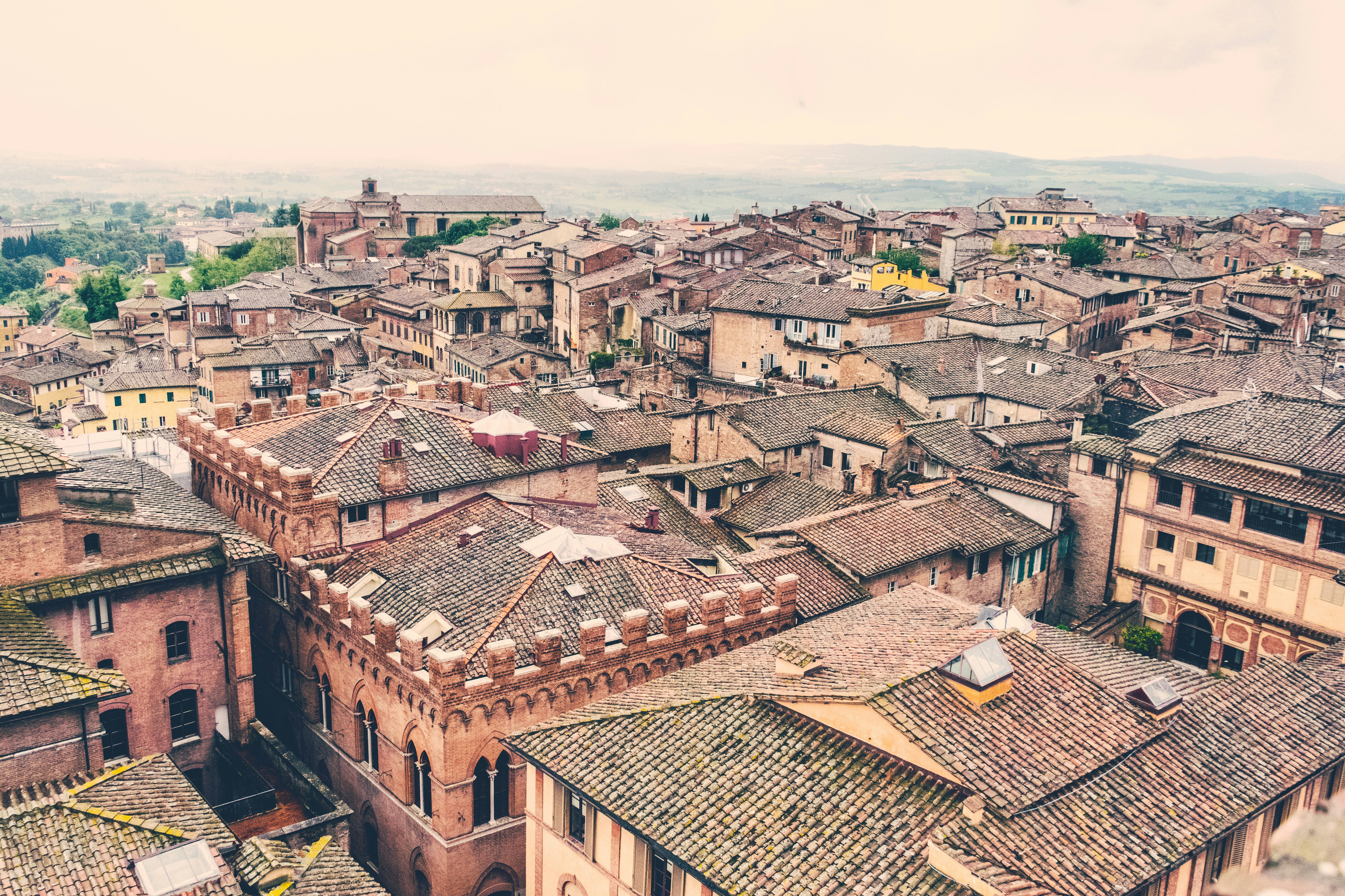 Mostra contemporanea Bella qua non si capisce più nulla