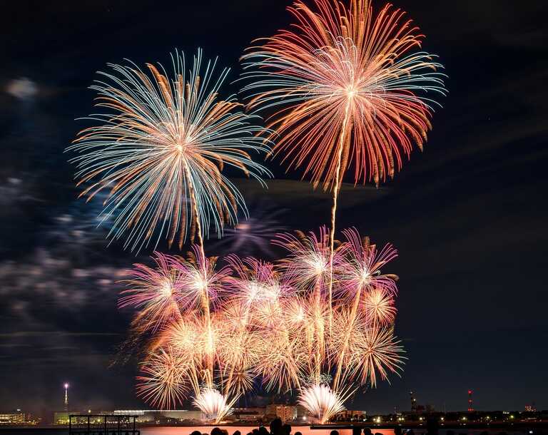 fireworks-9220290_1280<br/><em><small>Licenza di distribuzione: Pubblico dominio</small></em>